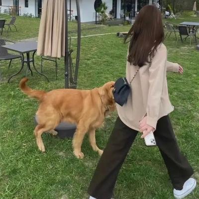意外
