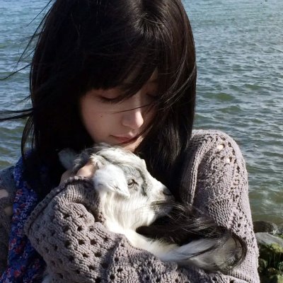 我家娶了花木兰